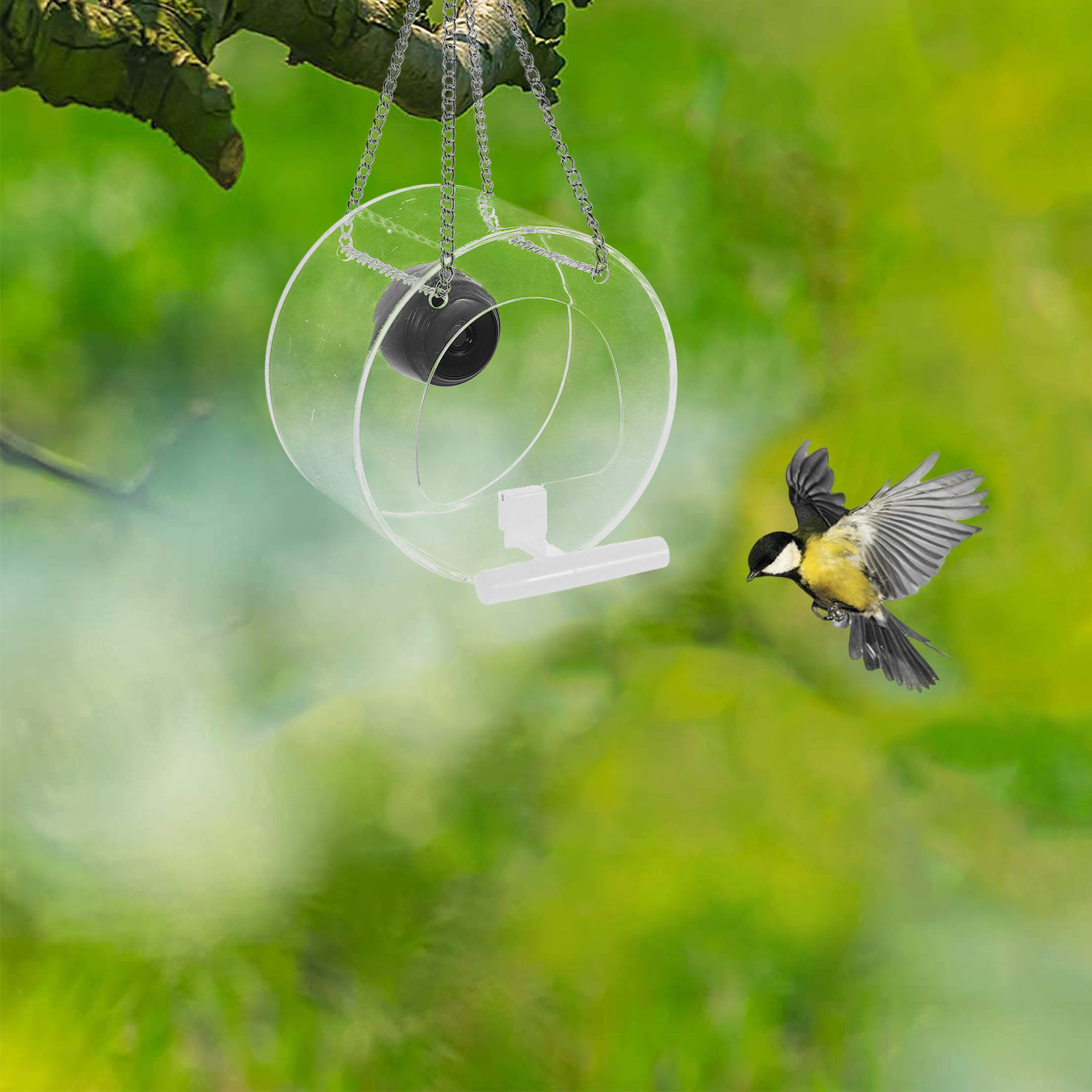 Smart Garden Video - 1 buah Smart dengan desain transparan
