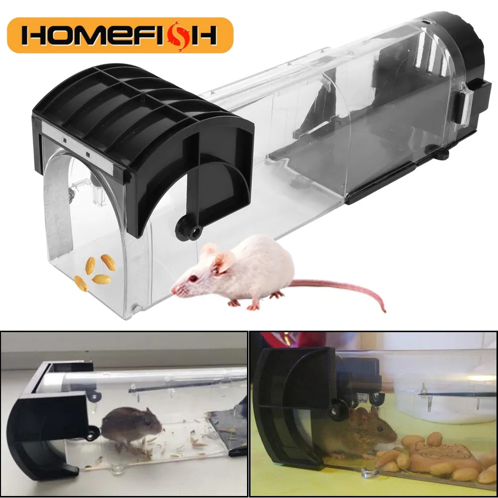 Perangkap Tikus Aman Kuat Rama - Smart Garden Furniture ulasan dan harga