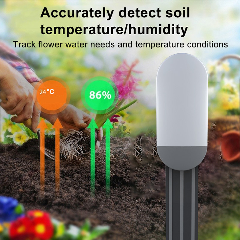 ZigBee 3.0 Sensor Tanah Deteks - Smart Soil Sensor ulasan dan harga