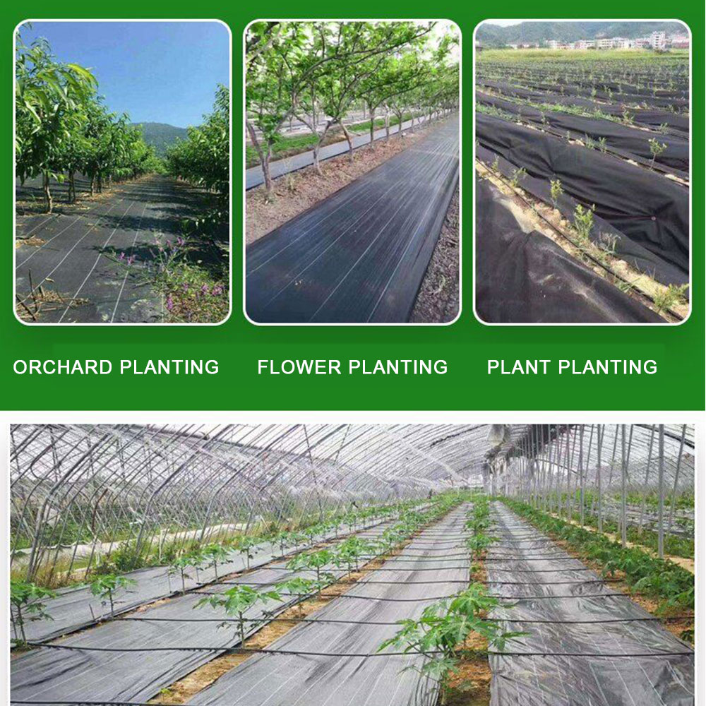 16.4 kaki/32,8 kaki PE tenun g - Smart Garden Greenhouse ulasan dan harga