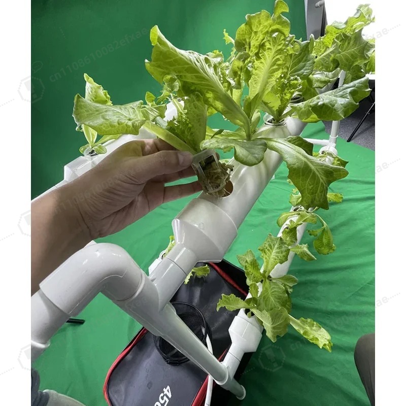 Sistem Hidroponik NFT Channel, - Smart Garden Hanging Baskets ulasan dan harga