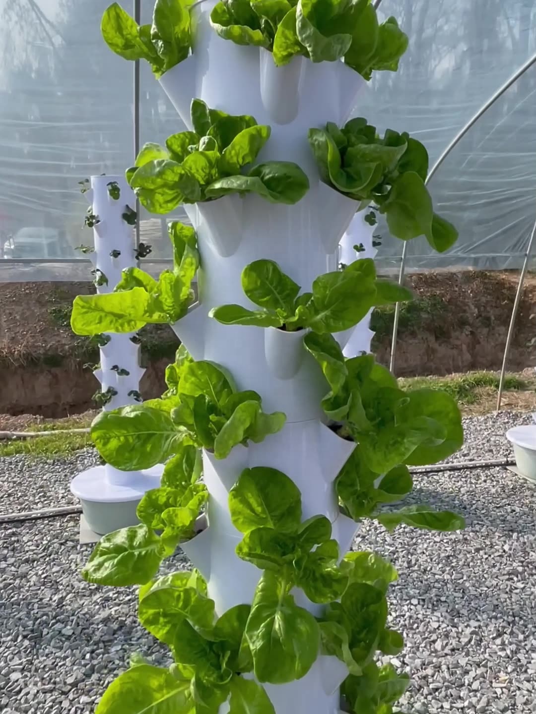 2024 Sistem Tumbuh Hidroponik  - Smart Garden Greenhouse ulasan dan harga