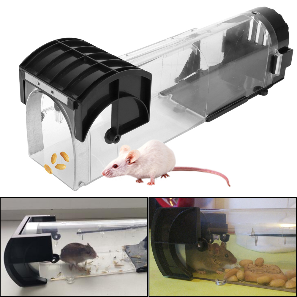 Perangkap Tikus Plastik yang A - Smart Garden Furniture ulasan dan harga