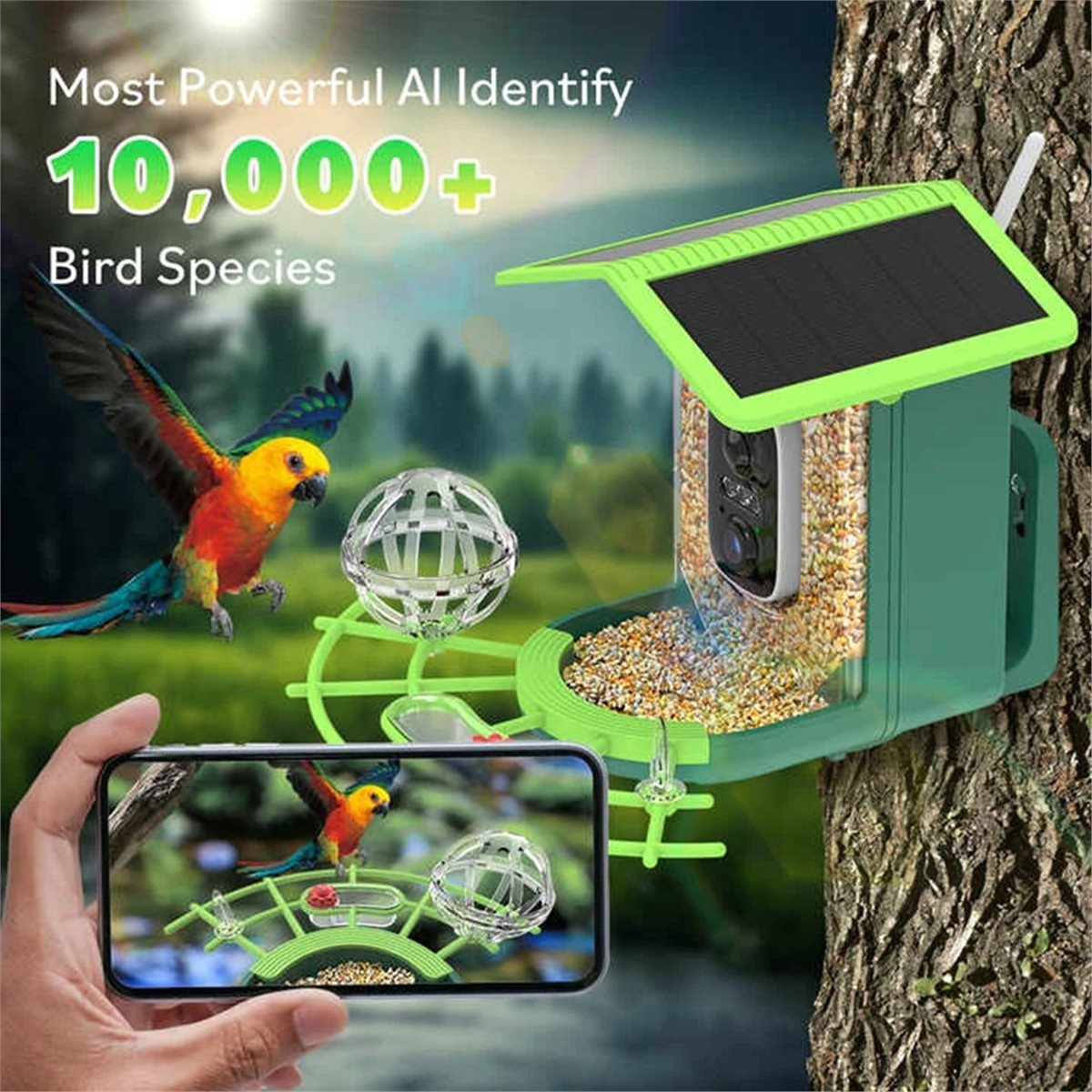 Kamera Pengumpan Burung Pintar - Smart Garden Video ulasan dan harga