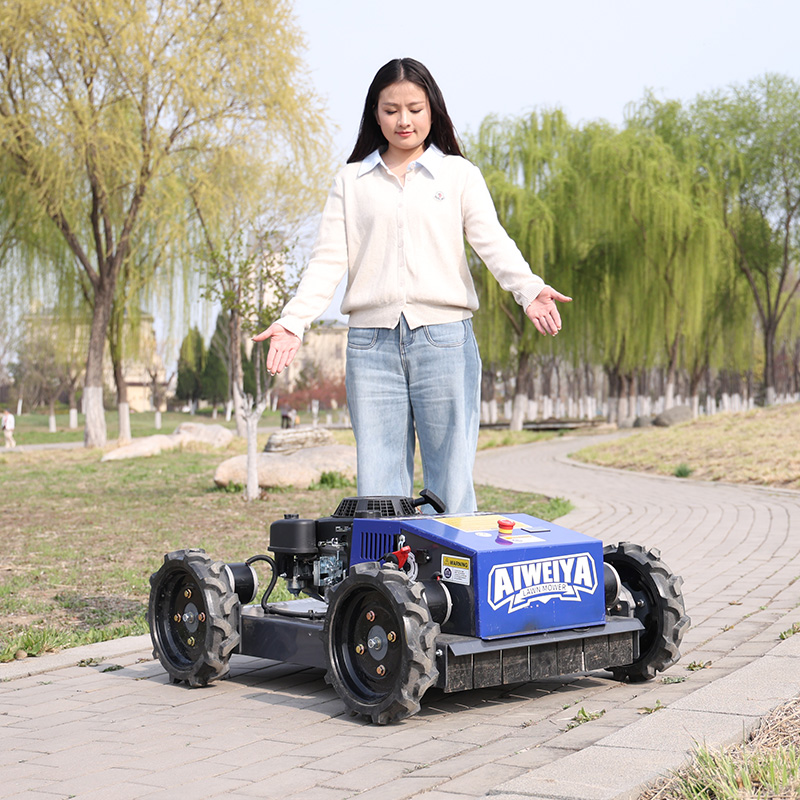 Mesin Pemotong Rumput Otomatis - Smart Garden Gadgets ulasan dan harga