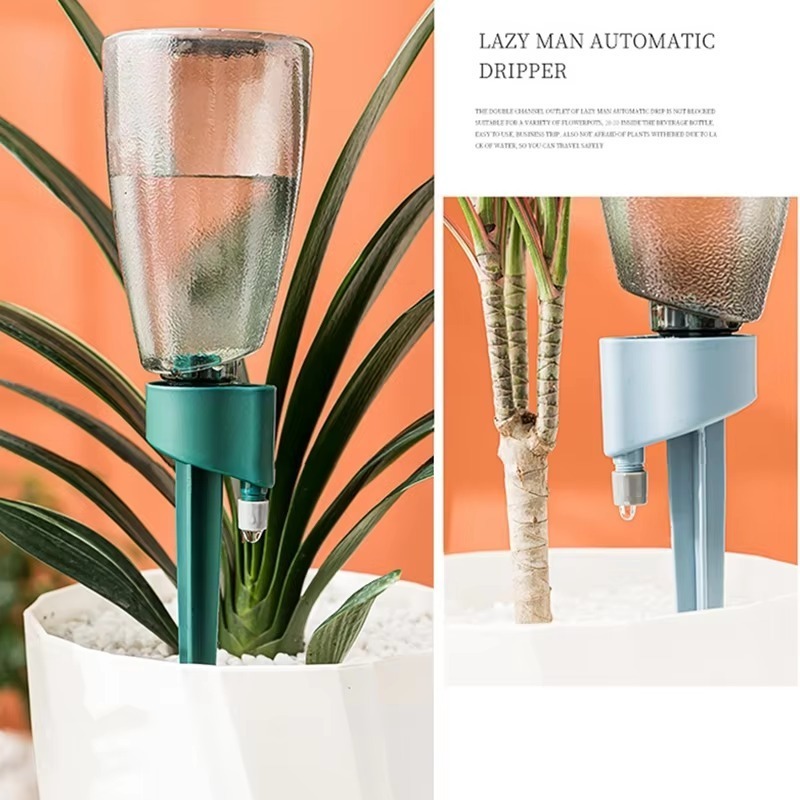 Paku tanaman bisa disesuaikan, - Smart Garden Auk ulasan dan harga